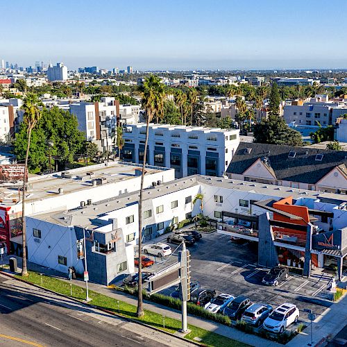 An aerial view of a cityscape featuring commercial buildings, residential structures, palm trees, parked cars, and a skyline in the background.