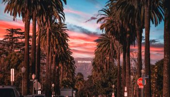 Palm tree-lined street at sunset with the Hollywood sign in the distance.